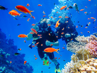 Vacanze al mare e subacquee in Egitto